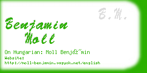 benjamin moll business card